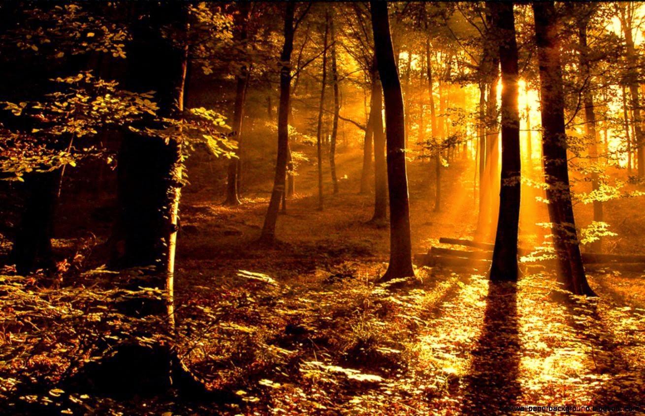 High Resolution Images Of Nature Hd Background Wallpaper 33 High Resolution Images Of Nature Hd Background Wallpaper 33