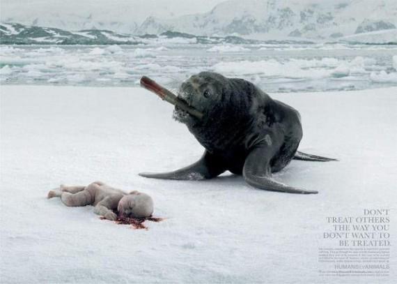 Publicidad que incomoda: maltrato animal Green Pear Diaries, publicidad, advertising, maltrato animal