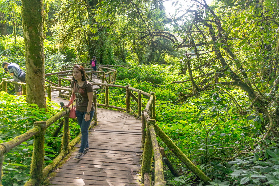 Doi Inthanon National Park