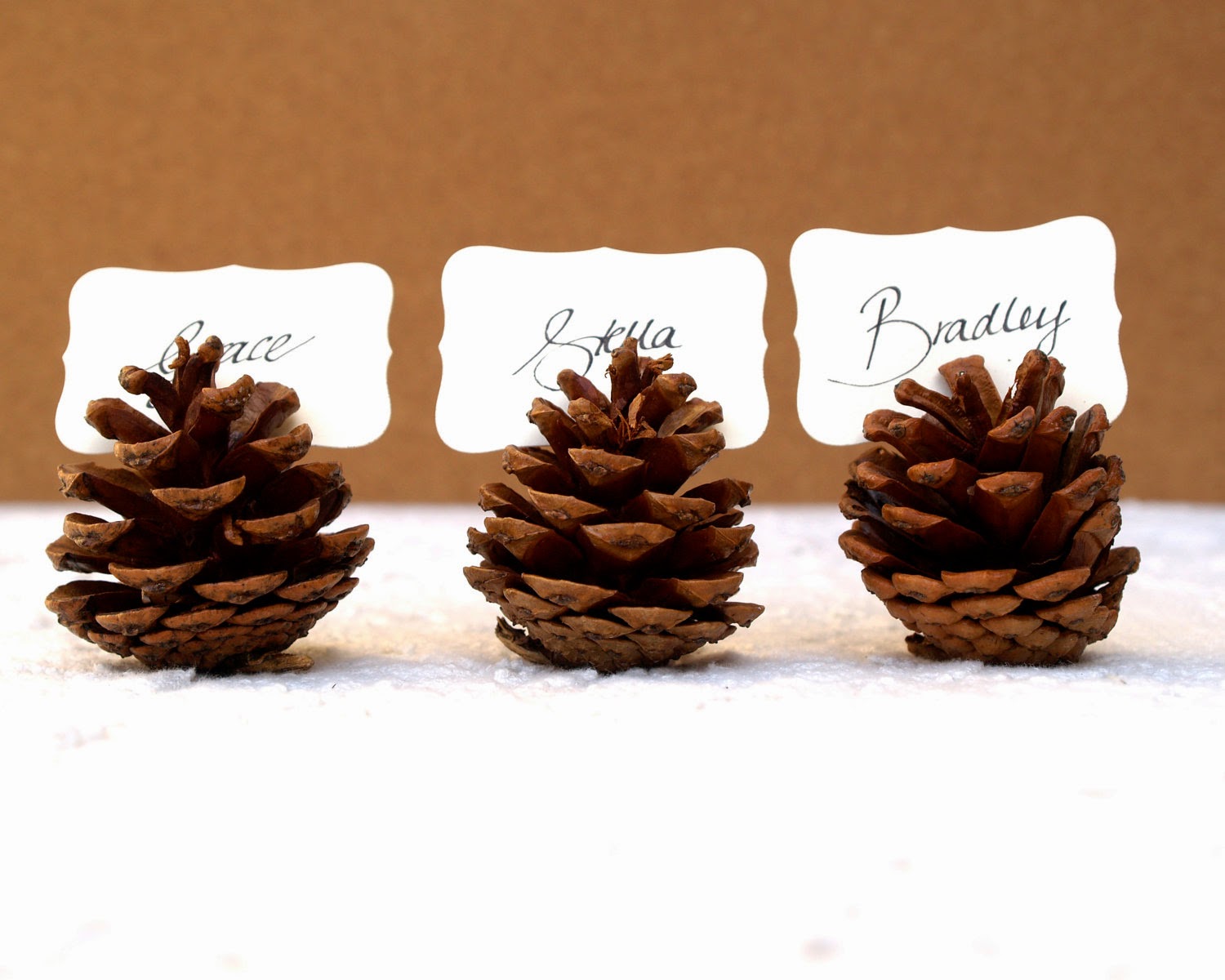 Pine Cone Wedding Lots of love, Susan