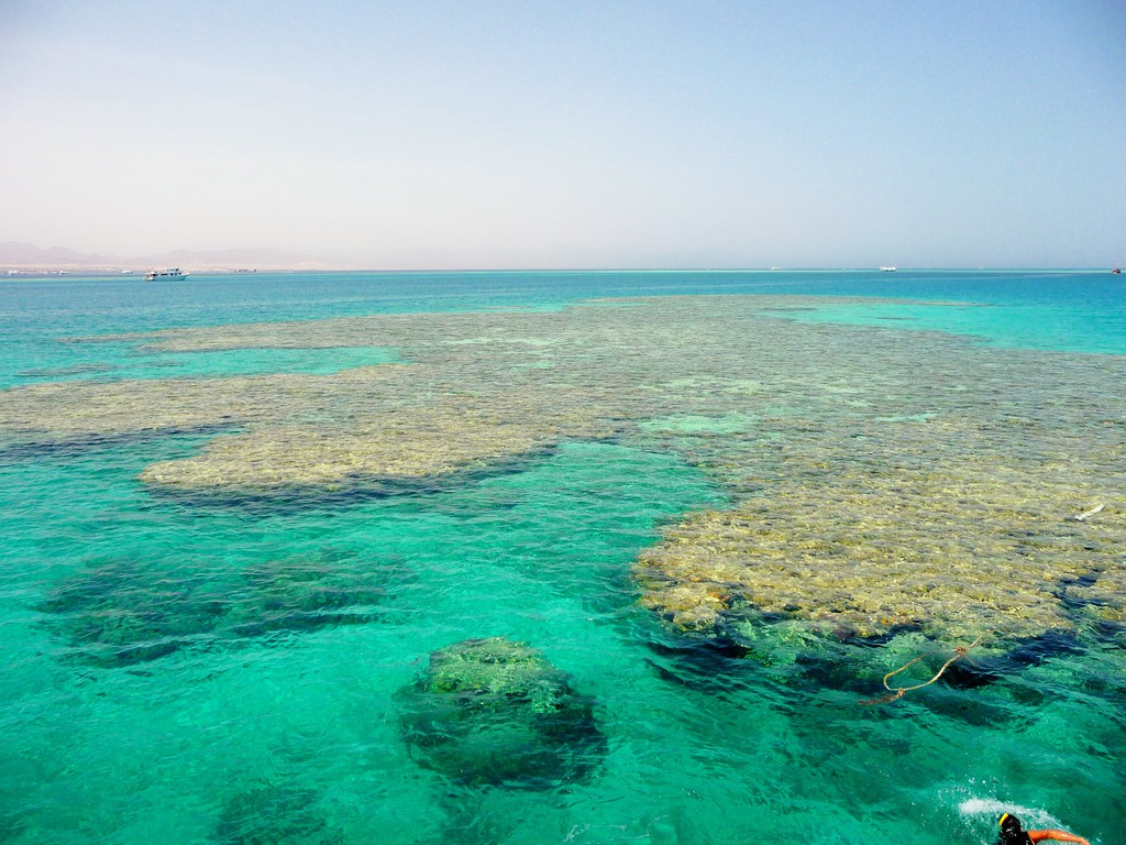 Tiran Island Sharm