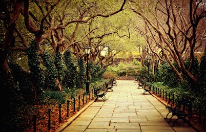 Парк "Аберон" The+Urban+Forest+Primeval+-+Conservatory+Garden+-+Central+Park+-+New+York+City+