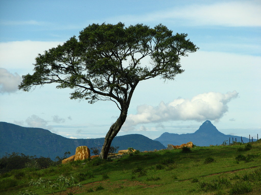 Travel Srilanka - The Wonder of Asia