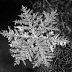 Por que os flocos de neve têm sempre seis lados?