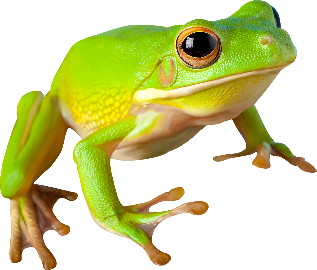 детские клипы развивающие скачать