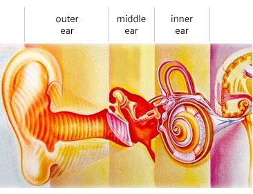 What are some common complaints against Neutronic Ear?