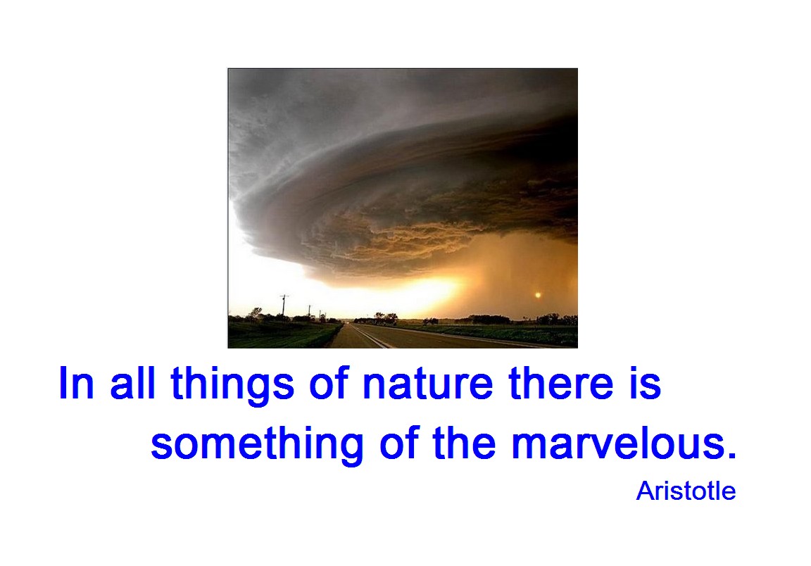 English Verbs 1, 2, 3...15 Letter Verbs (11,000+) 4Letter Verbs (1238)