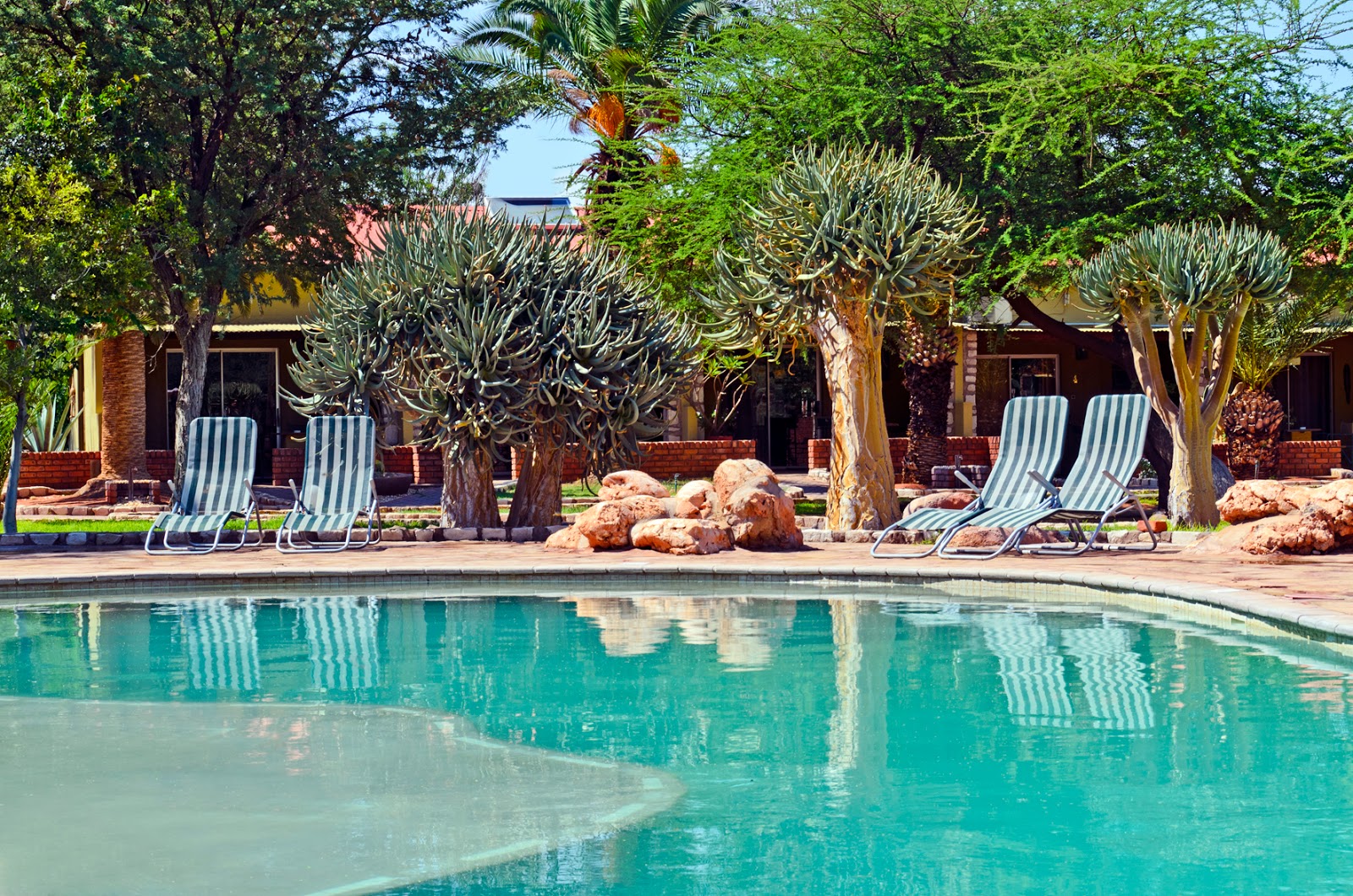 Mischas Reiseseite Namibia 1 Die Ersten Tage Die Kalahari