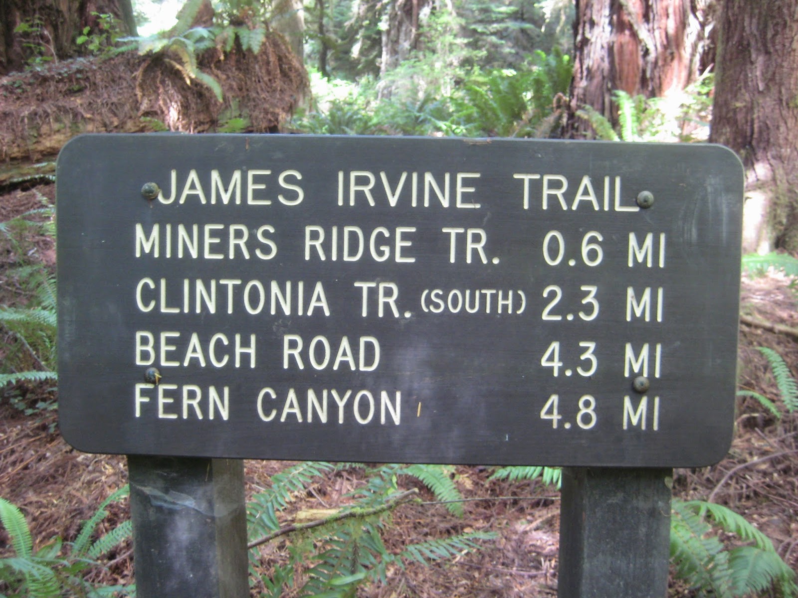Glenn & Carol's Hiking Adventures James Irvine Fern Canyon Davison