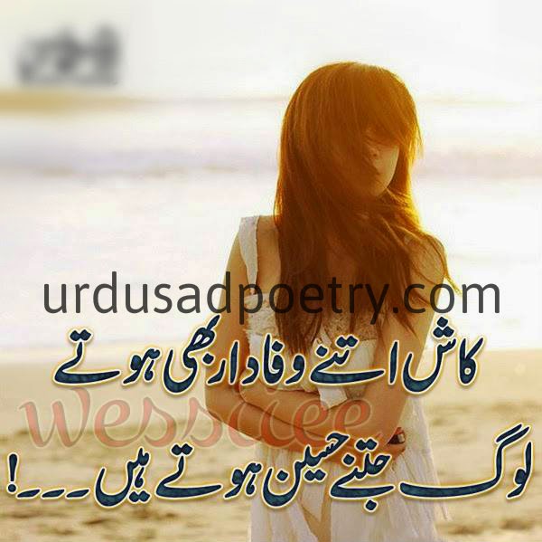 wafadar kutta shayari funny