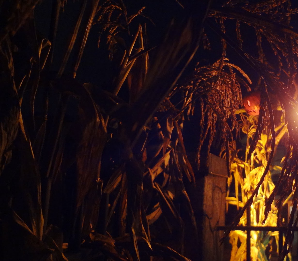 Grim Hollow Haunt Grim Hollow 13