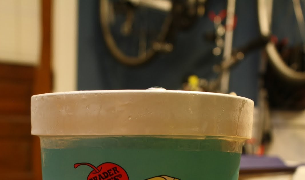 What's Good at Trader Joe's? Trader Joe's Non Fat Plain Frozen Yogurt