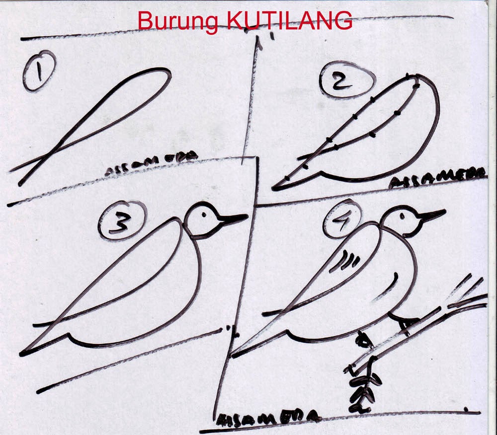Cara Menggambar Berbagai Bentuk Burung Tahap Demi Tahap Assameda