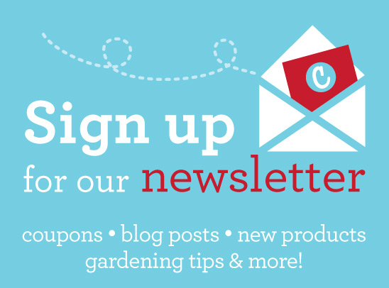 Sign up for our newsletter!