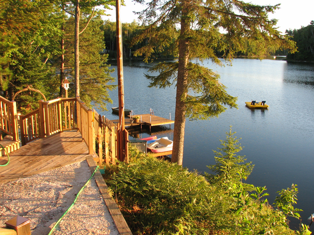 Nature Summer Wallpapers Wallpapers Stocks