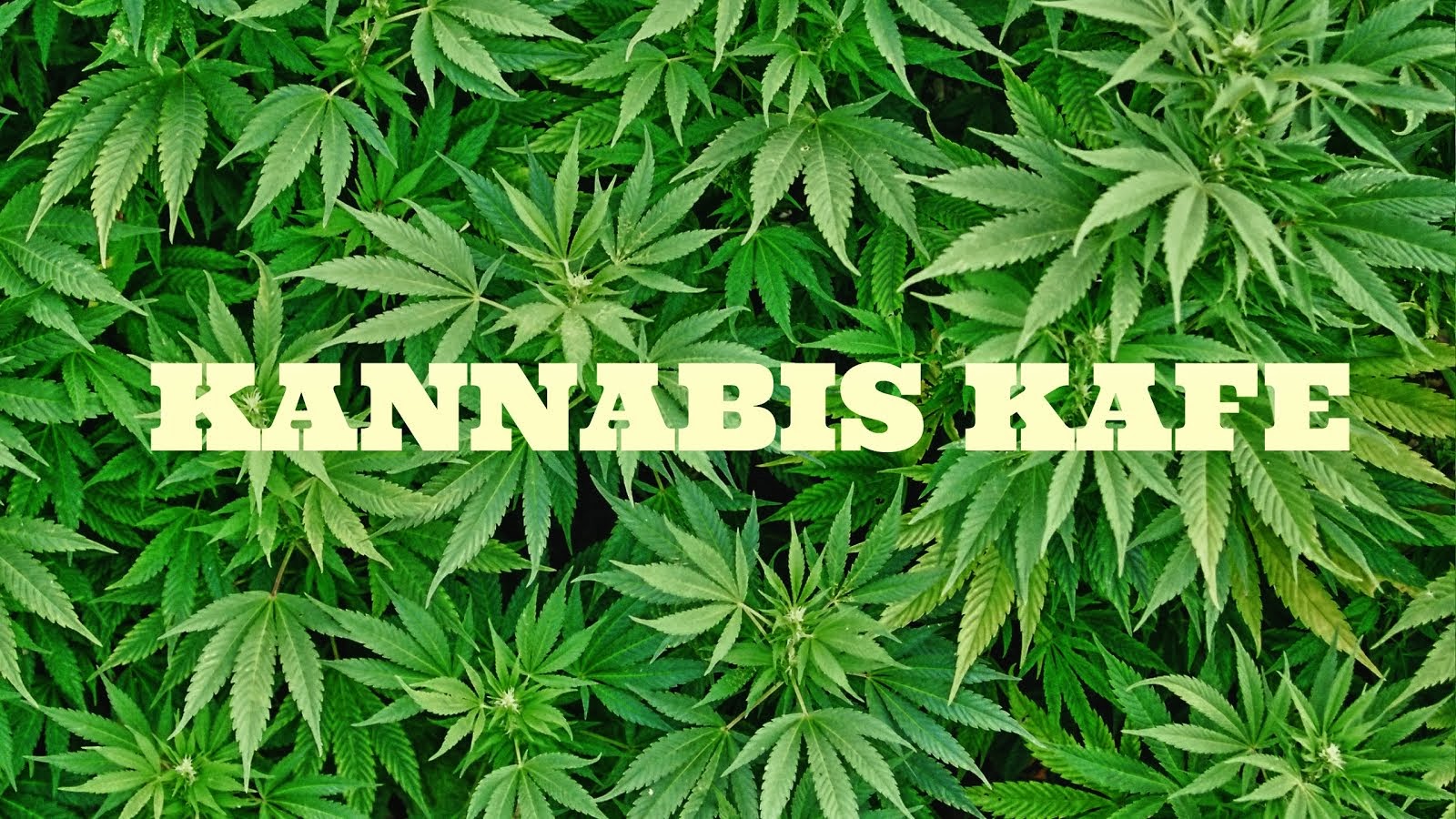 KannabisKafe