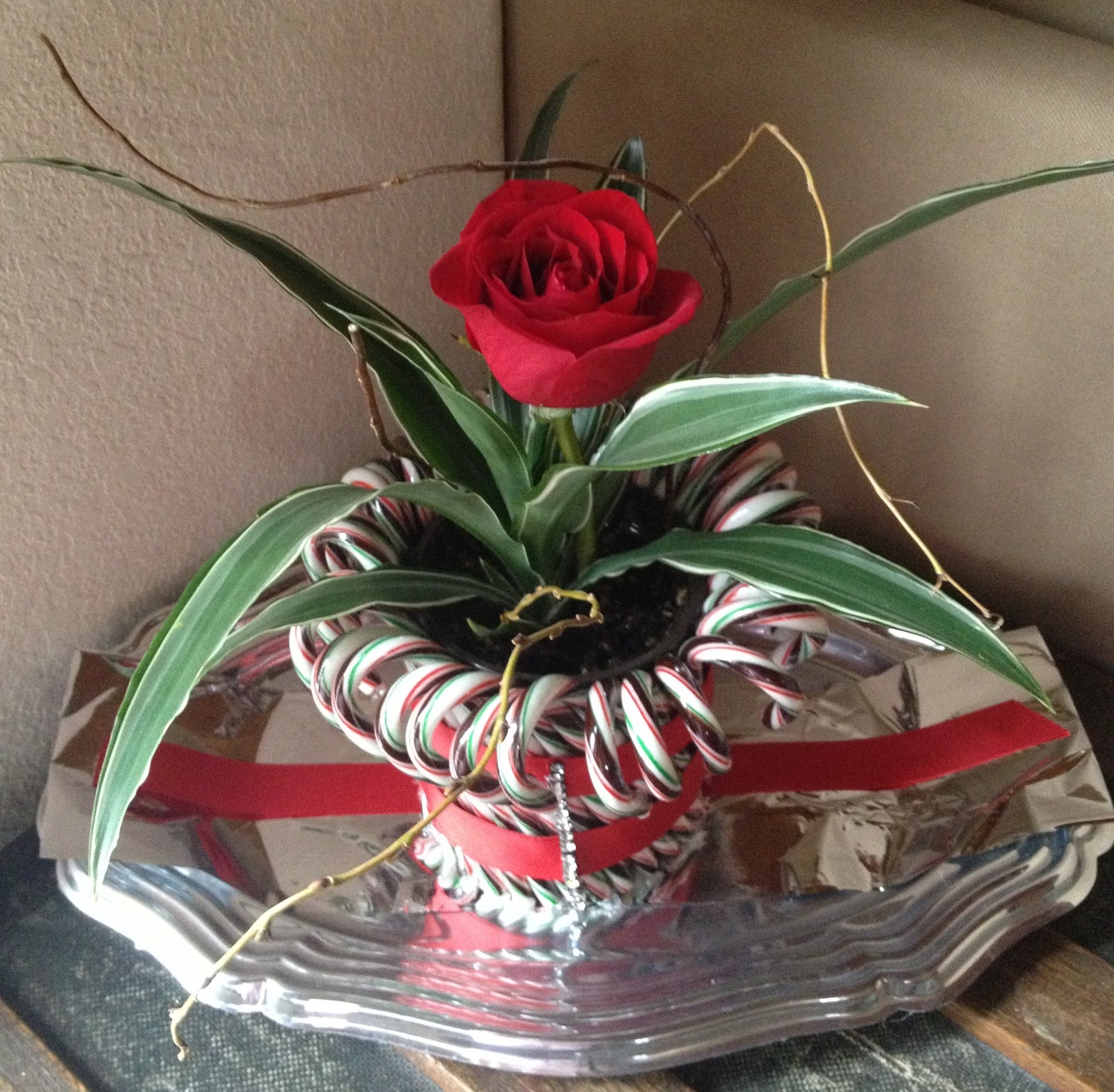 Evolution Revolution Christmas Craft DIY Candy Cane Vase