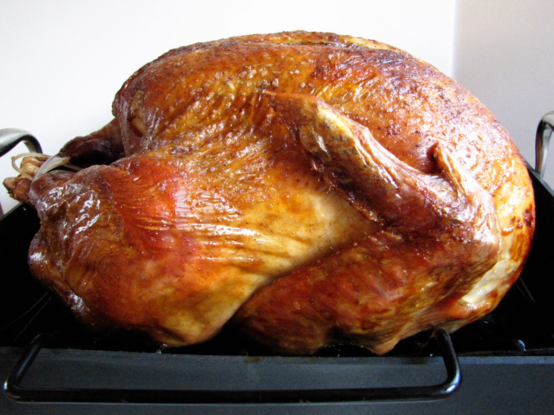 perfectly moist convection oven roasted turkey