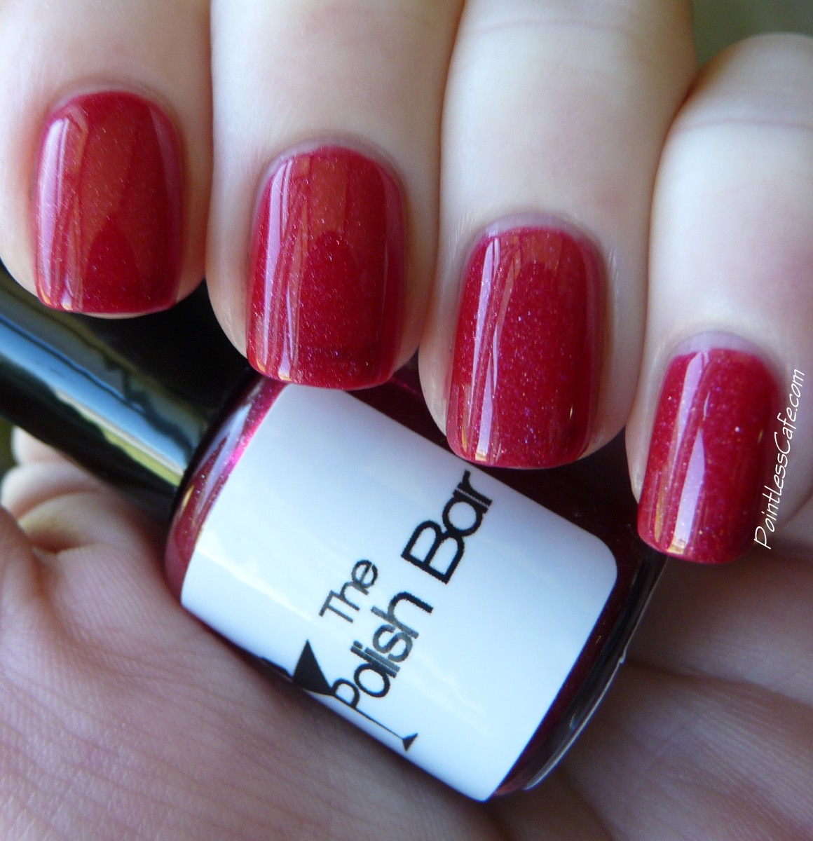 The Polish Bar Holiday 2013 Collection Swatches and Review