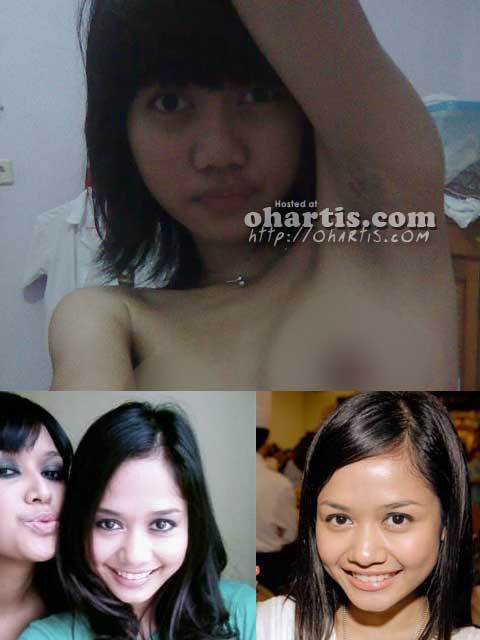 Gamba Bogel Artis