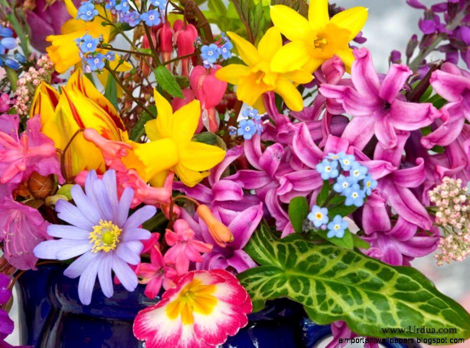 abstract flower deaigns abstract flower deaigns