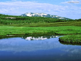 Lush Green Full HD Size Nature Wallpapers Free Downloads Full HD High Res Nature Wallpapers For Laptop