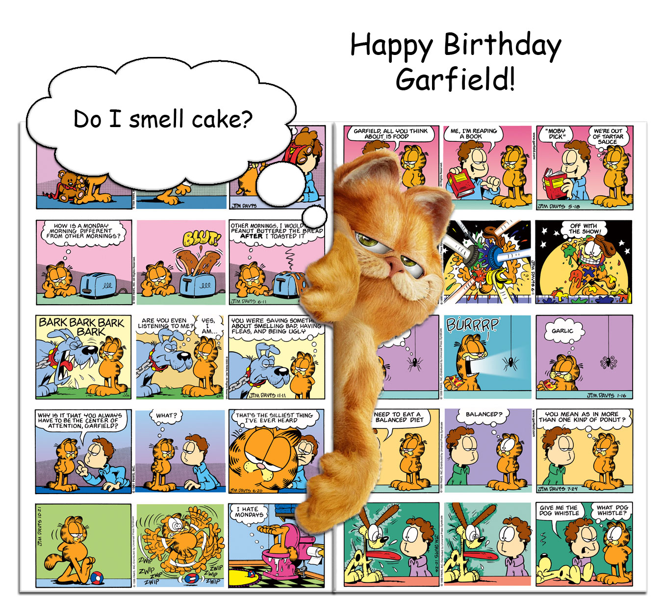 Garfield Birthday