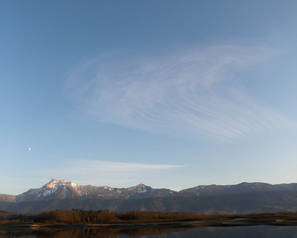 Kent Bc