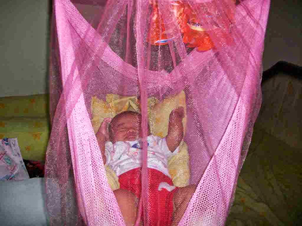 selamat datang di toko cjdw 2 probolinggo ayunan bayi per selamat datang di toko cjdw 2 probolinggo ayunan bayi per