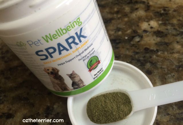 SPARK nutritional supplement by Pet Wellbeing contains 43 superfoods for your pet
