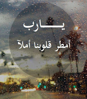كلمات جميلة عن كل شيئ كلمات جميلة عن كل شيئ