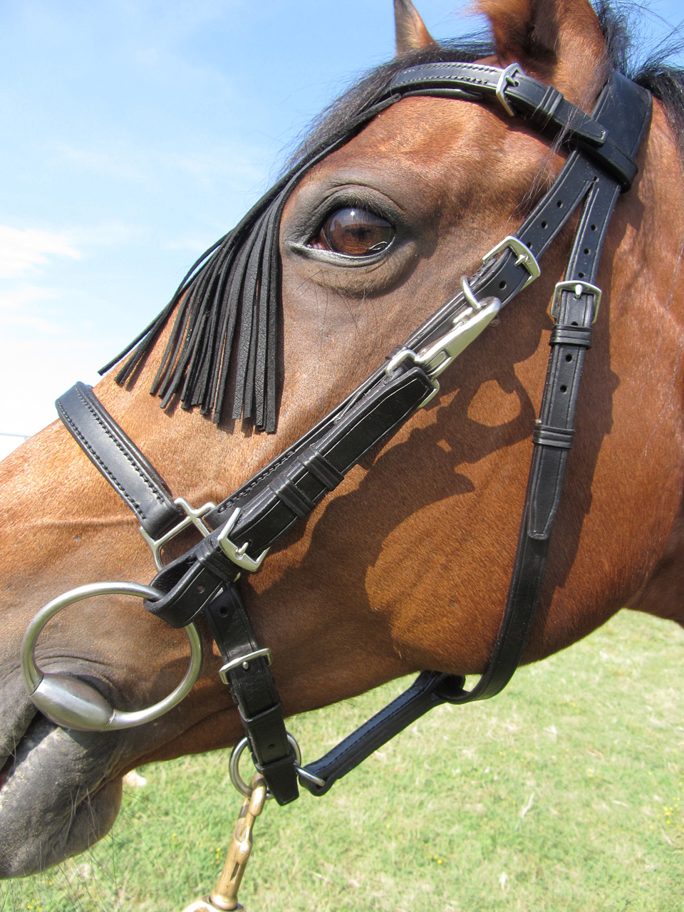 Sketches from the Saddlery Leather items made in Italy Bridlehalter