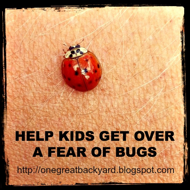 One Great Backyard Get Outside and Play Help Kids Get Over a Fear of Bugs