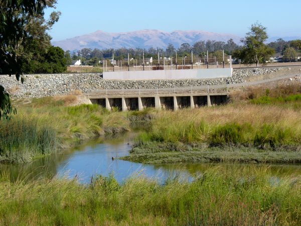 Walking San Francisco Bay Alameda Creek NE  Sept. 5, '11