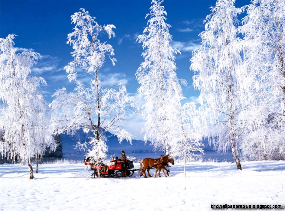 Winter Scenes wallpapers Crazy Frankenstein Winter Scenes wallpapers Crazy Frankenstein
