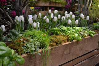 Lovely Shelter: Pallet Garden