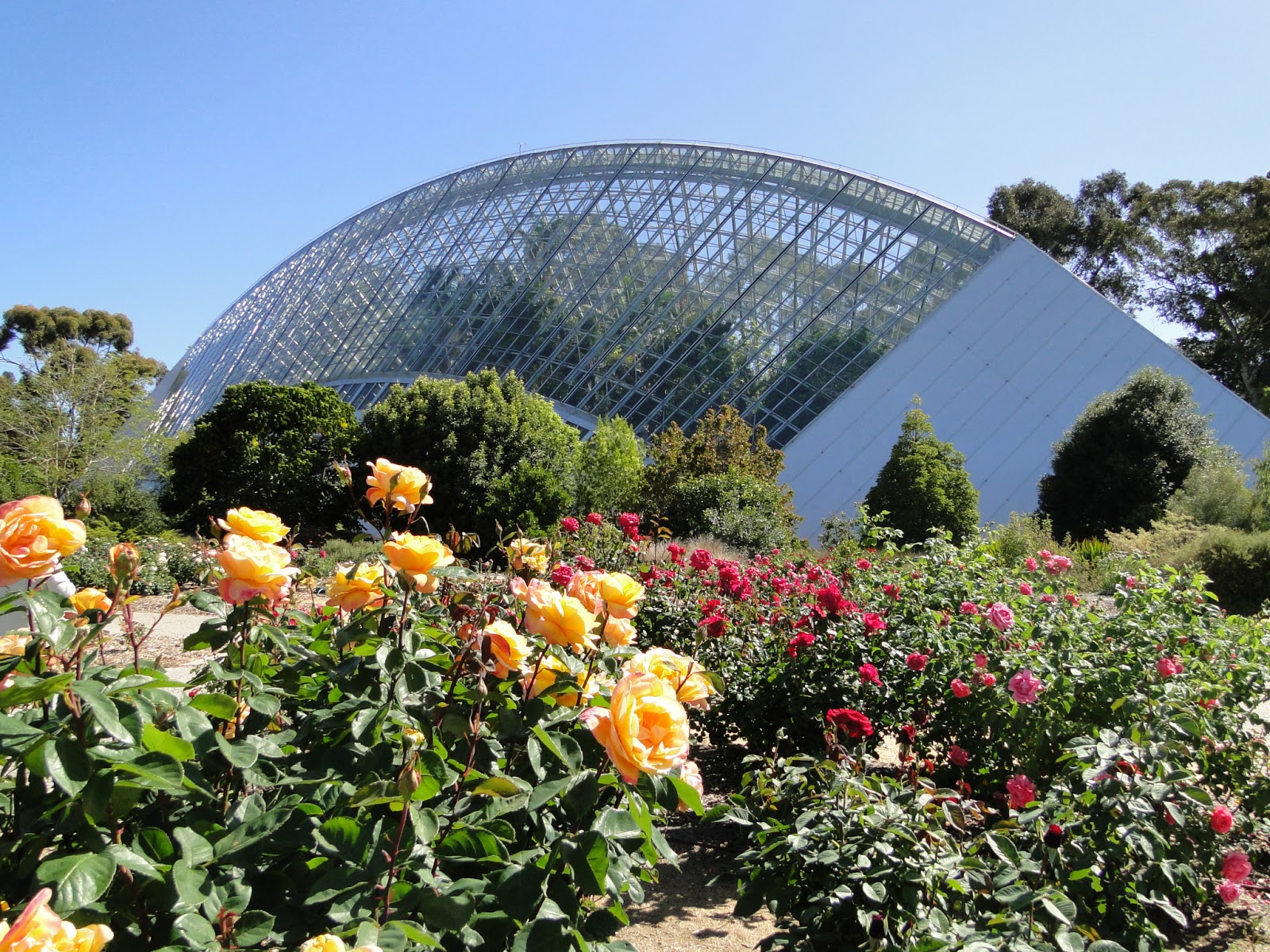 Adelaide Botanic Garden план