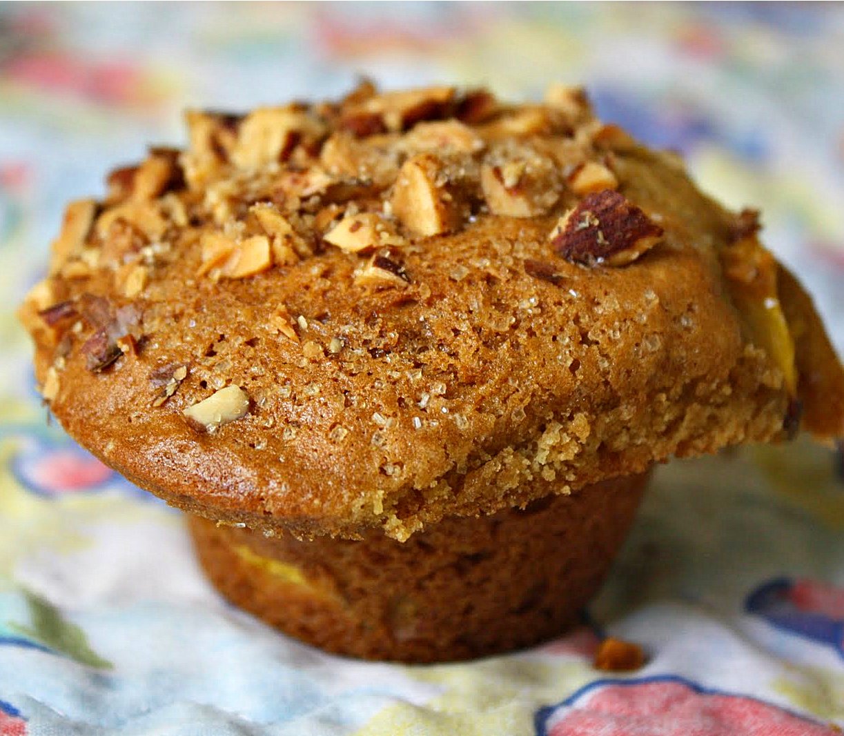 Jane's Sweets & Baking Journal BigTop Nectarine Muffins . . . with
