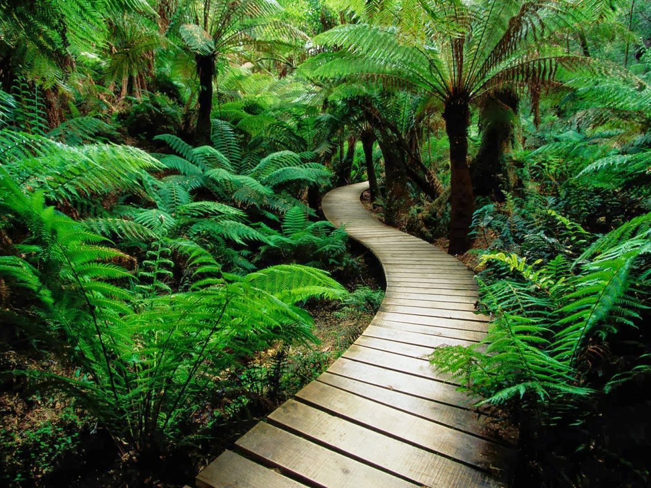 Hd Wallpapers Blog: Nature Photos and Themes