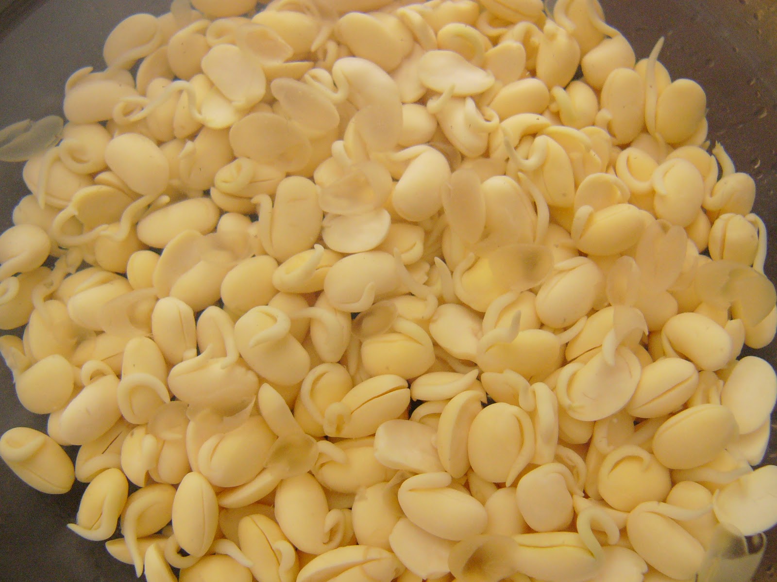 Tebasiles Kitchen Sprouted Soy Milk