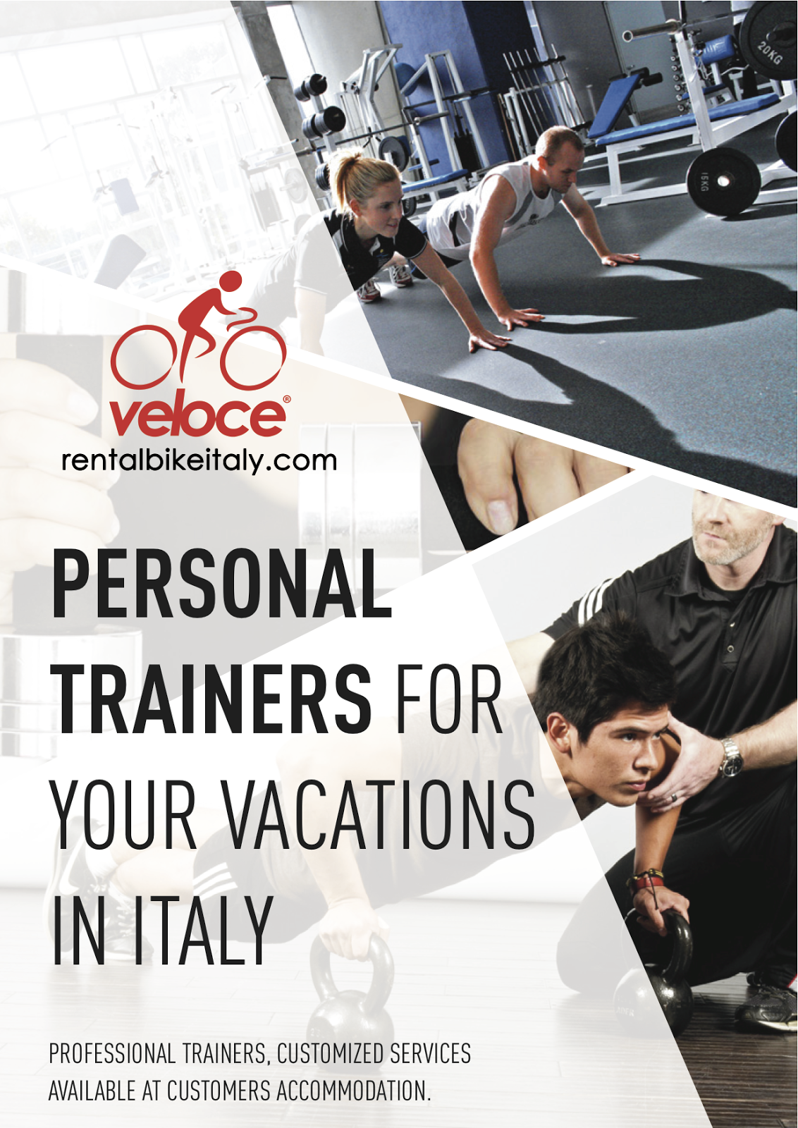 Can Trainers Train My Dog To Walk Properly Can Trainers Train My Dog To Walk Properly