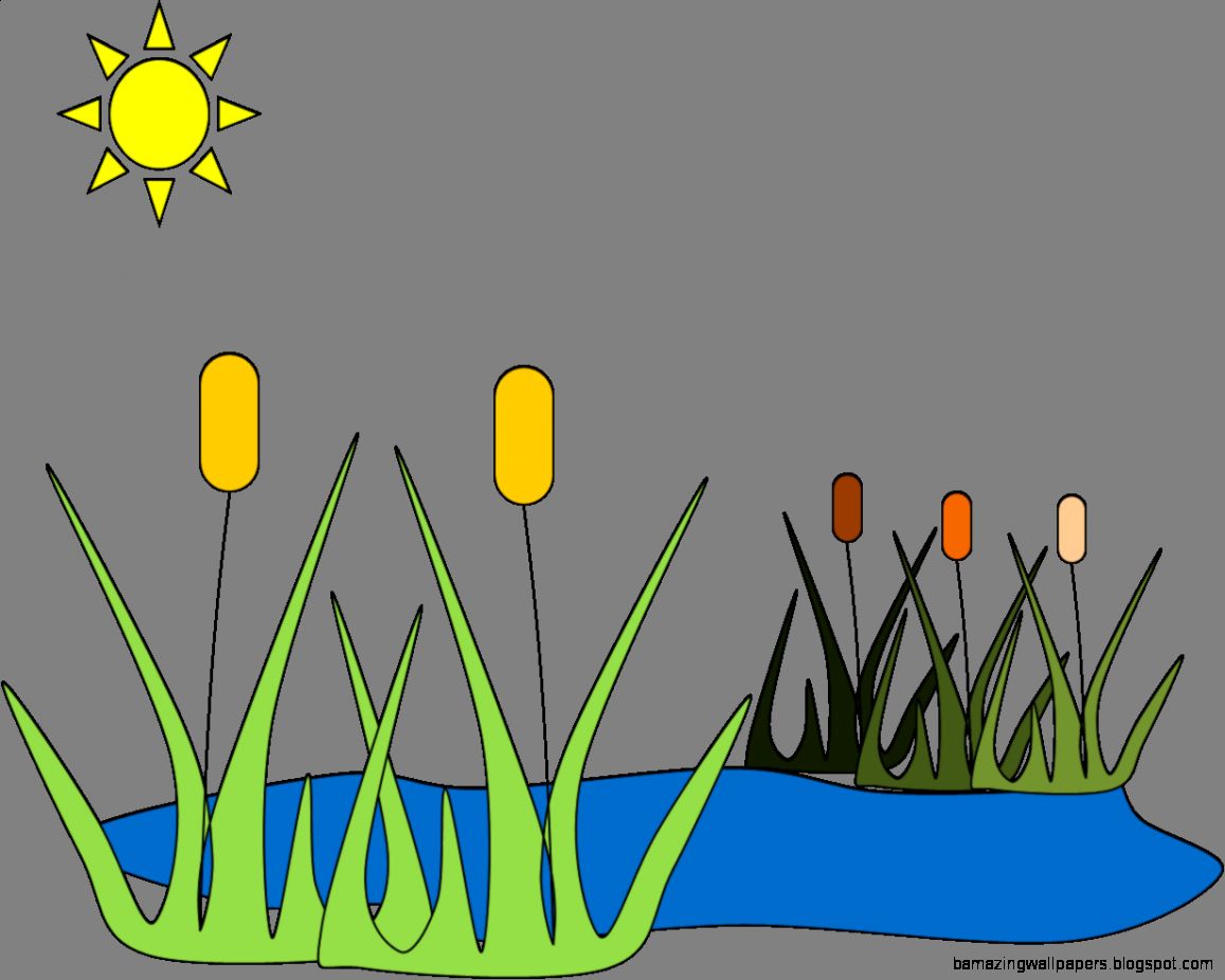 Pond Clip Art Free Clipart Panda Free Clipart Images Pond Clip Art Free Clipart Panda Free Clipart Images