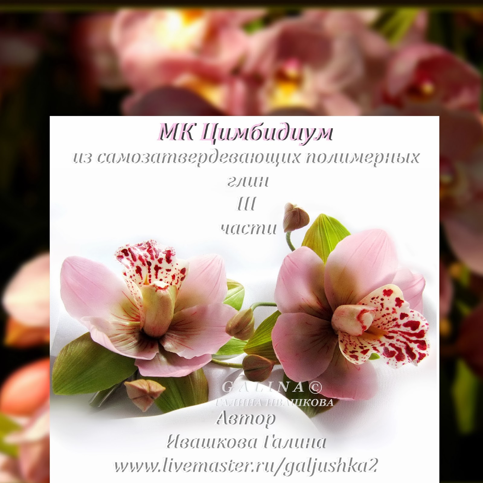 Вязаные шапочки для малышей (модели с) Вязание спицами и крючком Самый женский