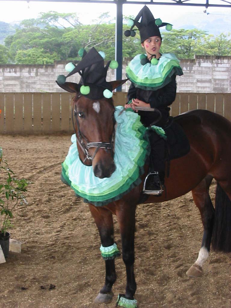 Horse Fancy Dress Ideas Jester