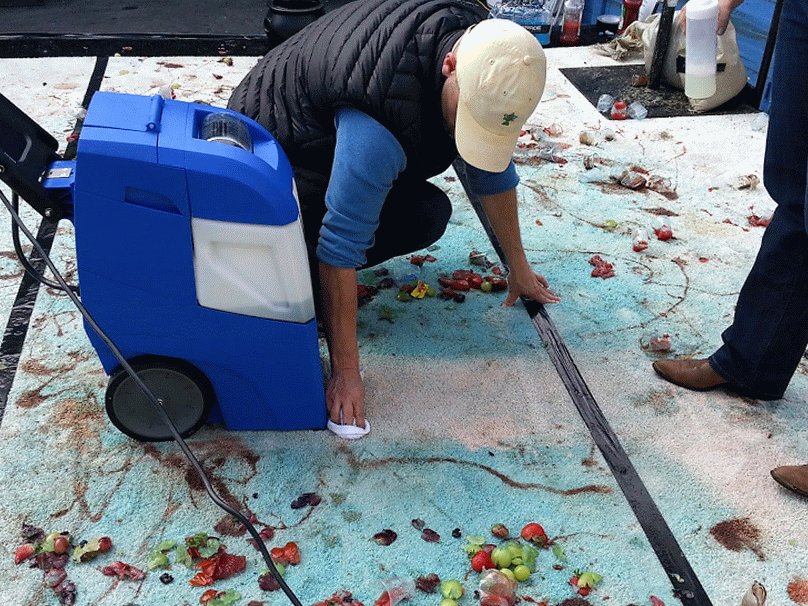 Marlie and Me Mohawk Stain Resistant Carpet Gives You License to Spill