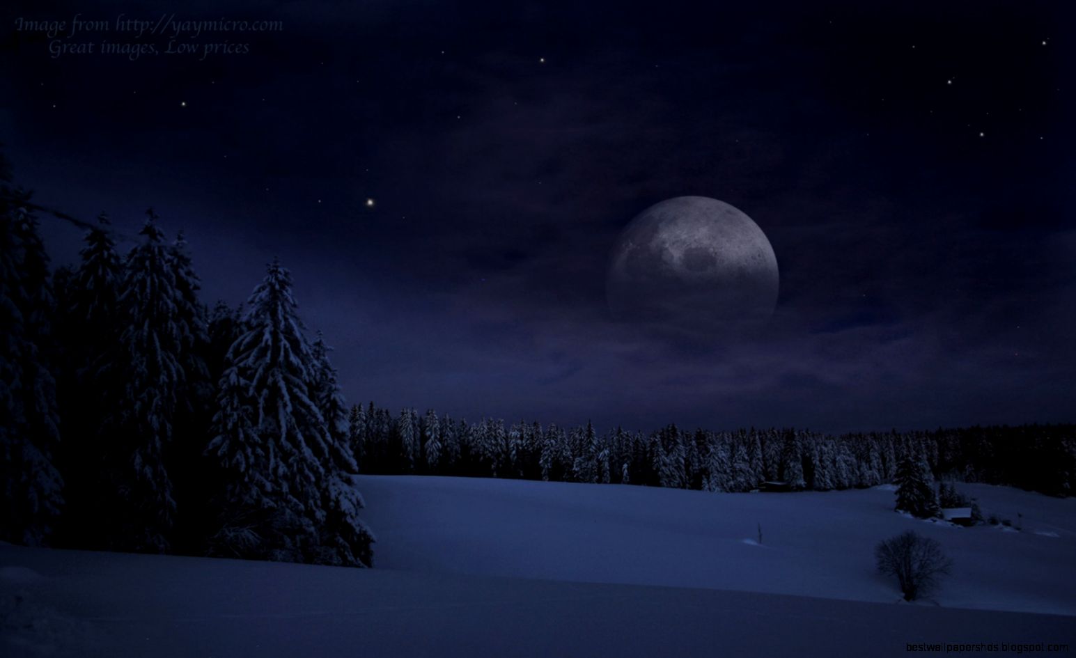 Christmas Night Moon Christmas Night Moon
