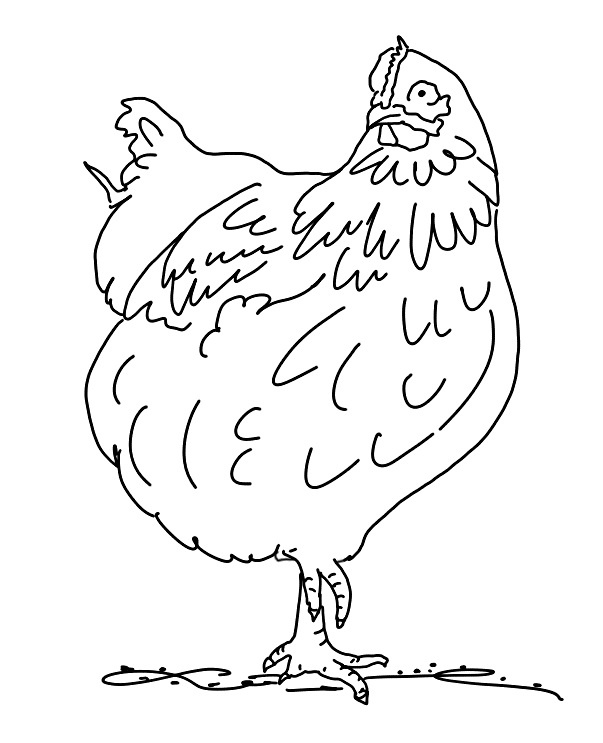 Chicken Coloring Pages for Preschool Kids title=