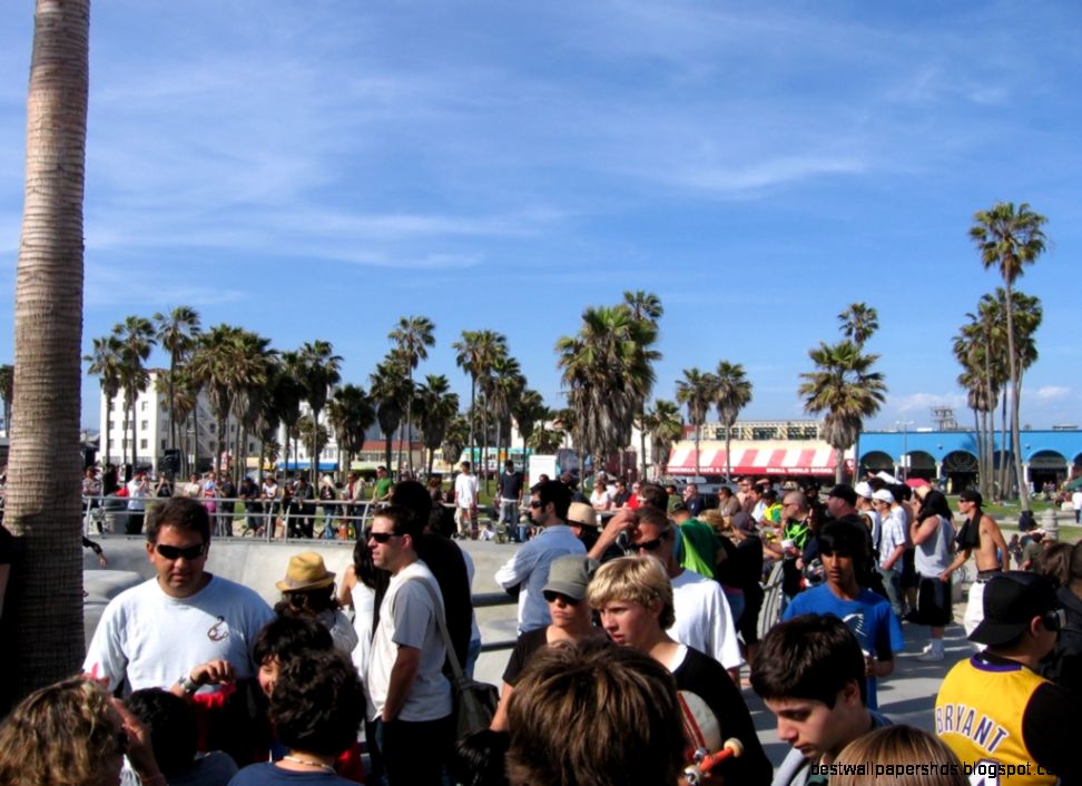Skate 3 at Venice Beach Skate Park Skate 3 at Venice Beach Skate Park