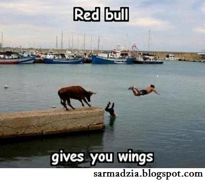 Reb-bull-give-you-wings.jpg