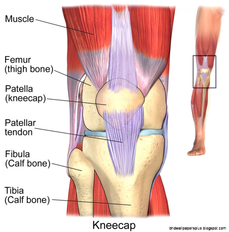 Ocean County Sports Medicine Trainer39s Corner Monthly Blog Ocean County Sports Medicine Trainer39s Corner Monthly Blog